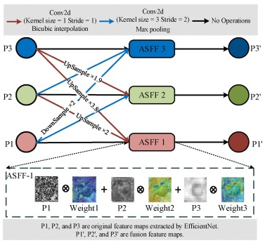 EFDet adaptive spatial feature fusion architecture